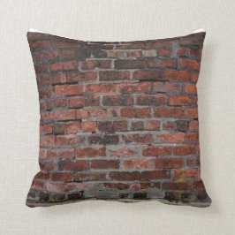 赤レンガのクッション クッション