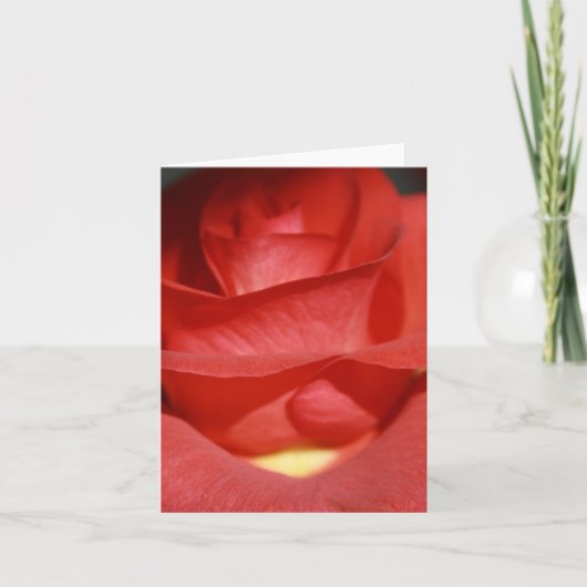 赤レンガ色のバラのメッセージカード カード (正面)