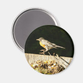 赤ロビンボビン マグネット (正面/裏面)