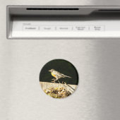 赤ロビンボビン マグネット (インサイチュ (食洗機))