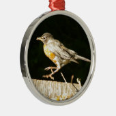 赤ロビンボビン メタルオーナメント (右)