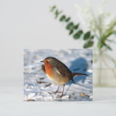 赤ロビン鳥はがき ポストカード (スタンド正面)