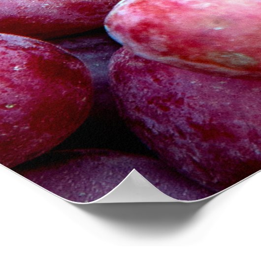 赤ワインのブドウ ポスター (角)