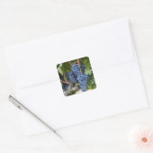 赤ワインの葡萄をつる植物 スクエアシール (封筒)