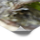 赤ワインの葡萄をつる植物 ポスター (角)