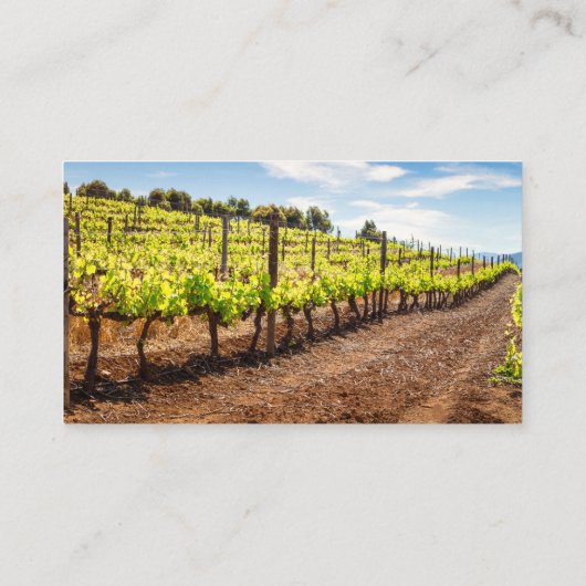 赤ワインボトル |ヴィネヤードワイナリーフィールド 名刺 (裏面)