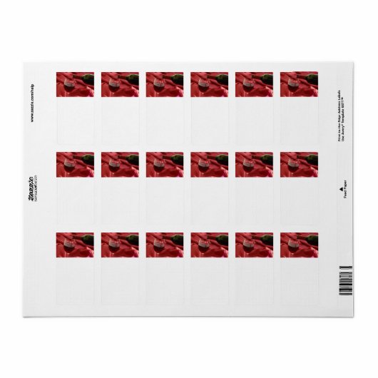 赤ワイン ラベル (フルシート)