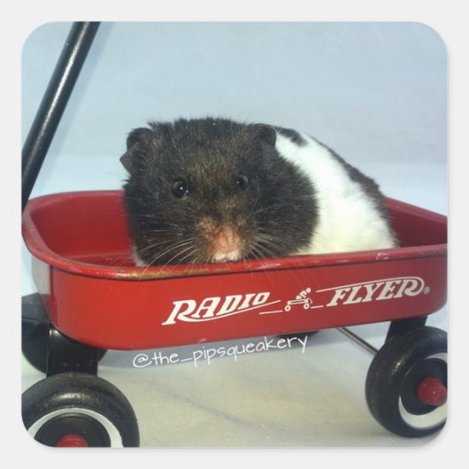 赤ワゴン スクエアシール (正面)