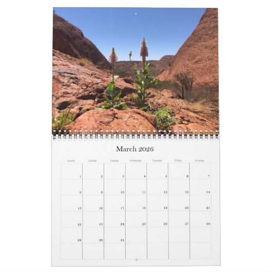 赤中央2026 カレンダー (3月 2026)