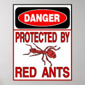 赤保護アリ ポスター (正面)
