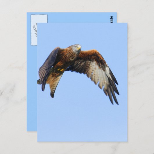 赤凧 ポストカード (正面/裏面)