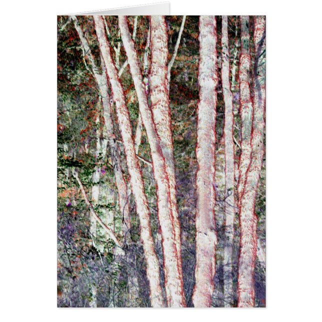 赤刃の木 (正面)