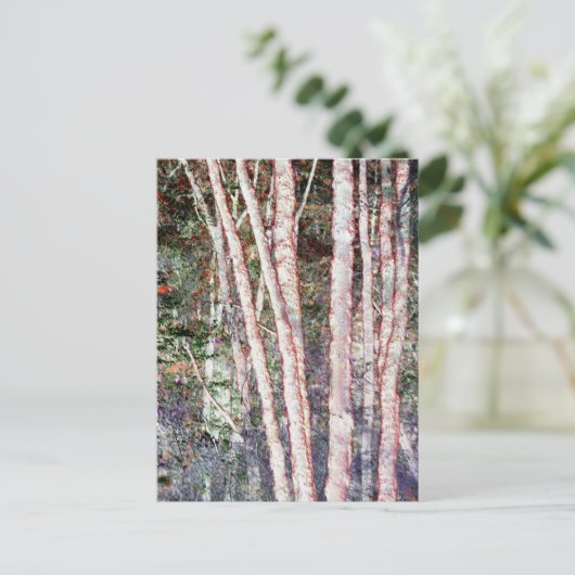 赤刃の木 ポストカード (スタンド正面)