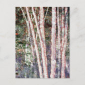 赤刃の木 ポストカード (正面)