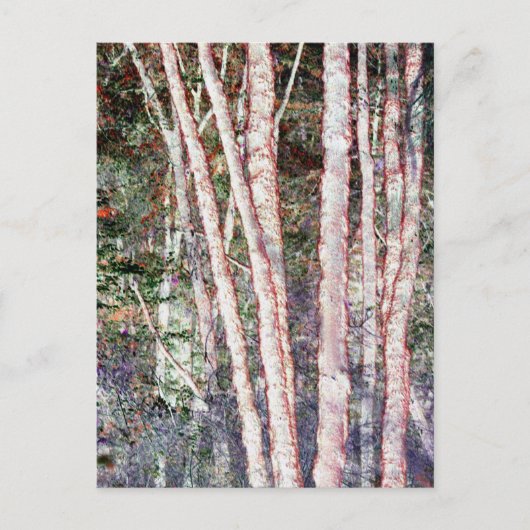 赤刃の木 ポストカード (正面)