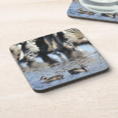 赤勘定書を出されたティール（緑がかった色） (Anaのerythrorhyncha)の組 コースター (左側)