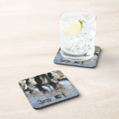 赤勘定書を出されたティール（緑がかった色） (Anaのerythrorhyncha)の組 コースター (右側)