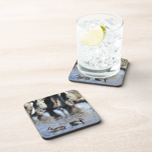 赤勘定書を出されたティール（緑がかった色） (Anaのerythrorhyncha)の組 コースター (右側)