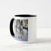 赤勘定書を出されたティール(緑がかった色) (Anaのerythrorhyncha)の組 マグカップ (正面左)