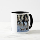 赤勘定書を出されたティール(緑がかった色) (Anaのerythrorhyncha)の組 マグカップ (正面右)