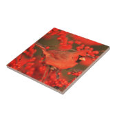 赤北（鳥）ショウジョウコウカンチョウオスIL タイル (側面)