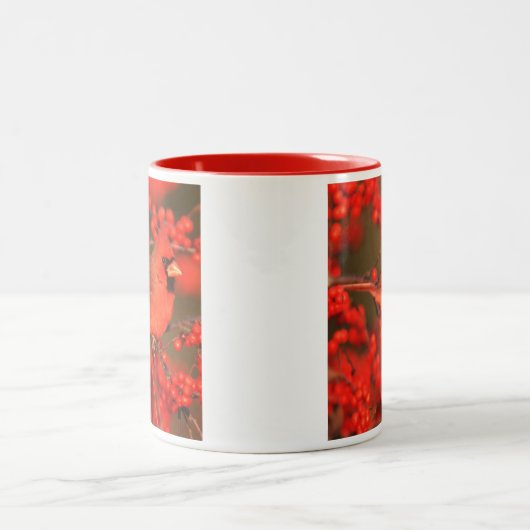 赤北(鳥)ショウジョウコウカンチョウオスIL ツートーンマグカップ (中央)