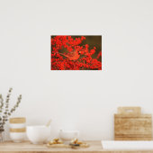 赤北（鳥）ショウジョウコウカンチョウオスIL ポスター (キッチン)