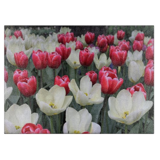 赤及び白の春のチューリップのまな板 カッティングボード (正面)