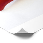 赤唐辛子のクローズアップ ポスター (角)