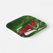 赤唐辛子ピープルグリーンホワイトフォト ペーパープレート (傾斜あり)