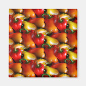 赤唐辛子磁石 マグネット (正面)