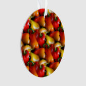 赤唐辛子 オーナメント (正面)