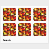 赤唐辛子 スクエアシール (シート)