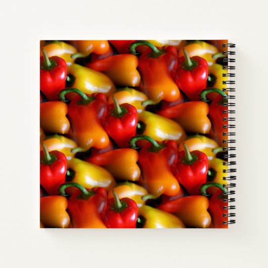 赤唐辛子 ノートブック (裏面)