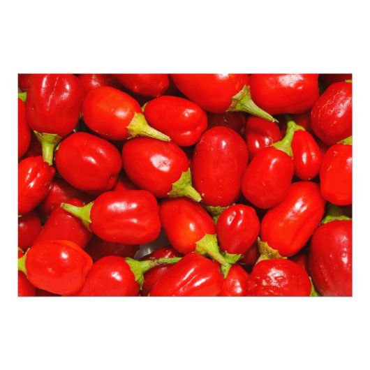 赤唐辛子 フォトプリント            (正面)