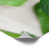 赤唐辛子 ポスター (角)