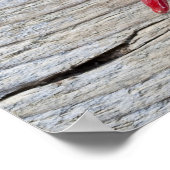 赤唐辛子 ポスター (角)