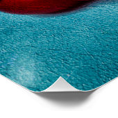 赤唐辛子 ポスター (コーナー)