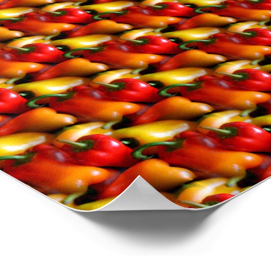 赤唐辛子 ポスター (角)