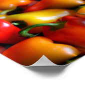 赤唐辛子 ポスター (角)