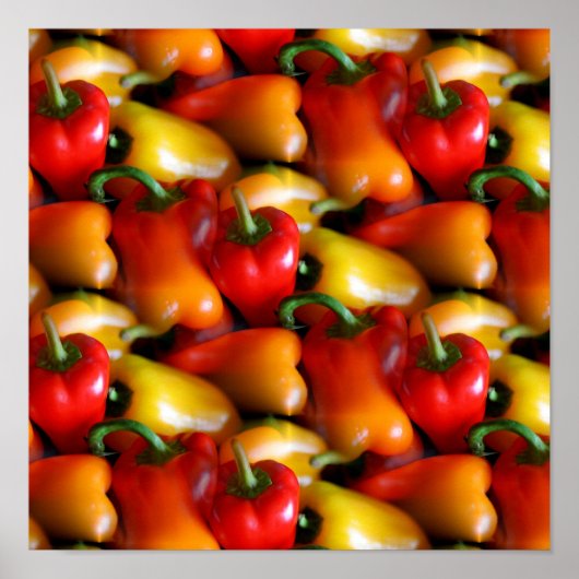 赤唐辛子 ポスター (正面)