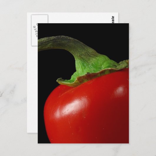 赤唐辛子 ポストカード (正面/裏面)