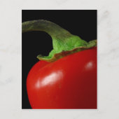 赤唐辛子 ポストカード (正面)