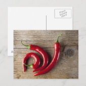 赤唐辛子 ポストカード (正面/裏面)