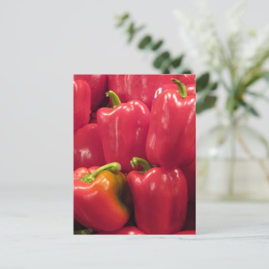 赤唐辛子… ポストカード (スタンド正面)