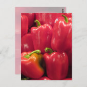 赤唐辛子… ポストカード (正面/裏面)