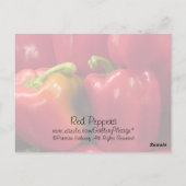 赤唐辛子… ポストカード (裏面)