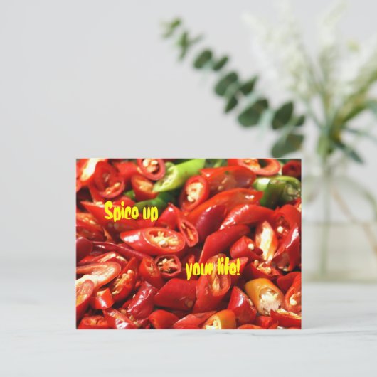 赤唐辛子 ポストカード (スタンド正面)