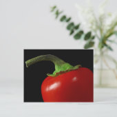 赤唐辛子 ポストカード (スタンド正面)