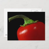 赤唐辛子 ポストカード (正面/裏面)